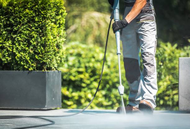 Best Sidewalk and Walkway Cleaning  in Aransas Pass, TX